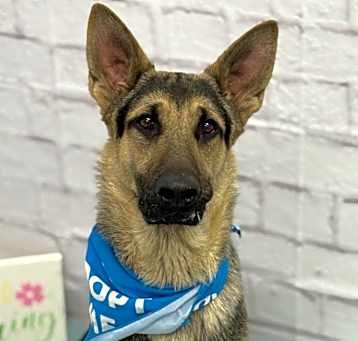 Photo of Tai