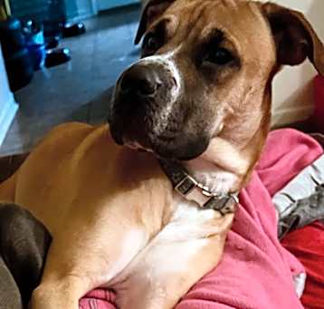 Photo of Princess Athena Rose