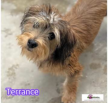 Photo of Terrenace
