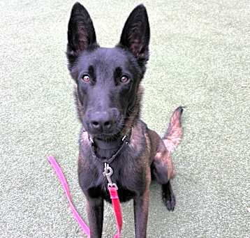 Photo of Odin