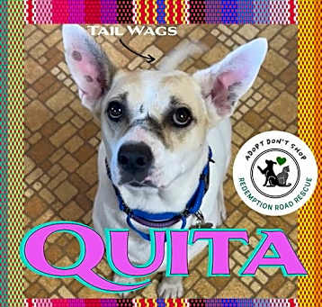 Photo of Quita