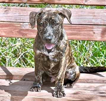 Photo of Tuffy