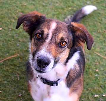 Photo of Roxy