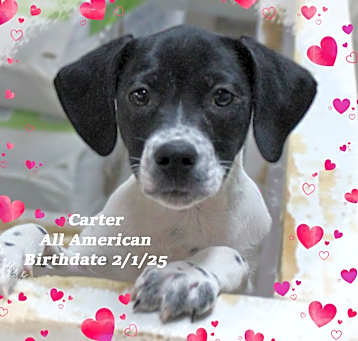 Photo of Carter