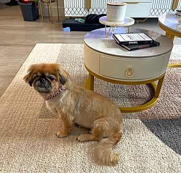 Photo of Spanky