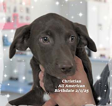 Photo of Christian