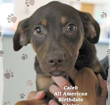 Photo of Caleb