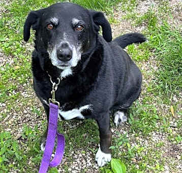 Photo of Macy