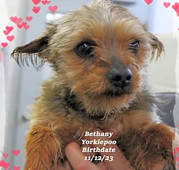Photo of Bethany