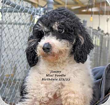 Photo of Jimmy