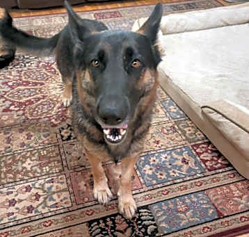 Photo of Leela