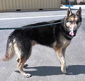Photo of MERLIN