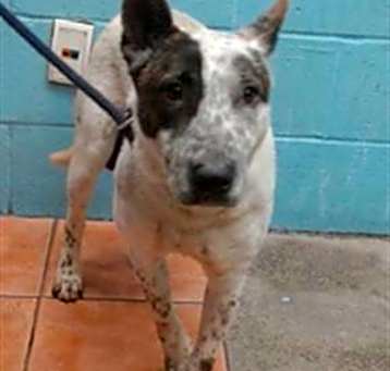 Photo of ROXY