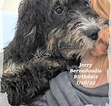 Photo of Jerry