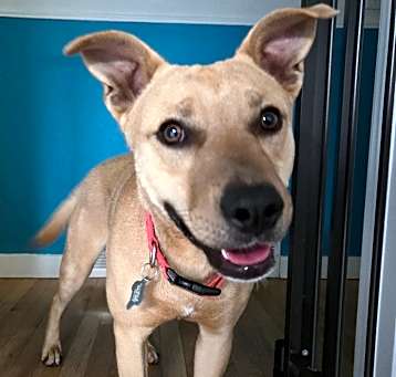 Photo of Spaz