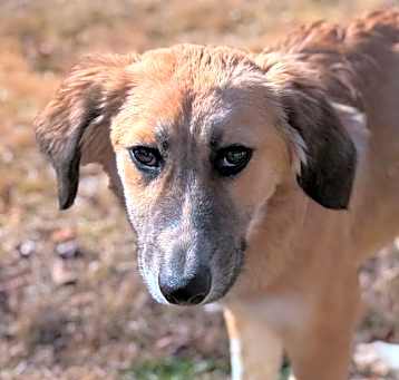 Photo of Sokka