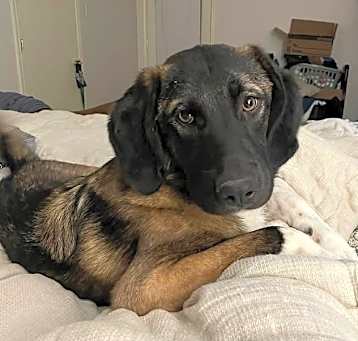 Photo of 24-108 Cinder