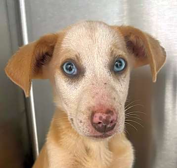 Photo of Amy (p)