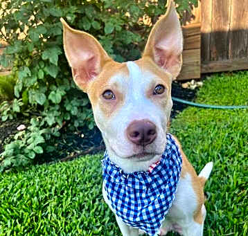 Photo of Carmelo