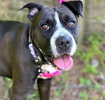 Photo of Mia
