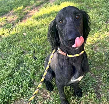 Photo of Jack