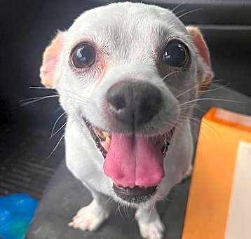 Photo of Diggs