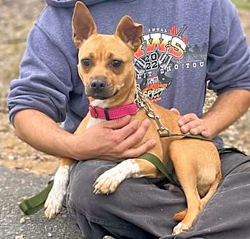 Photo of Dee Dee