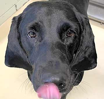 Photo of Betty