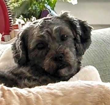 Photo of Bella Mae