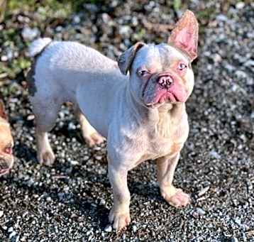 Photo of Casper