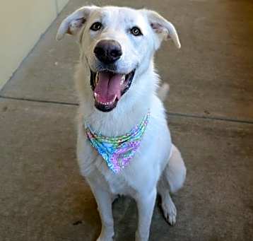 Photo of Korra