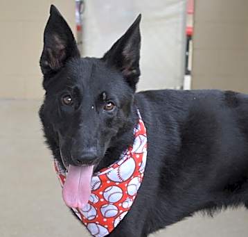 Photo of Ares