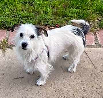 Photo of Olivia