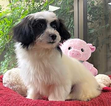 Photo of Myla