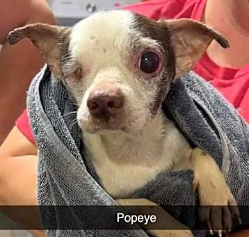 Photo of Popeye