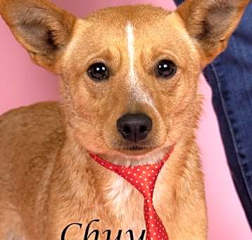 Photo of Chuy