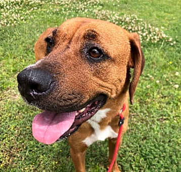 Photo of Buster