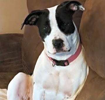 Photo of Baby Girl 2