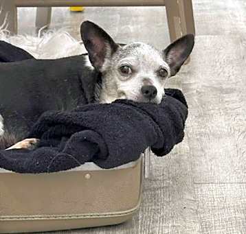 Photo of Ethel