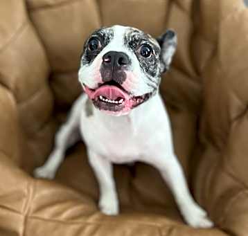 Photo of Zoe