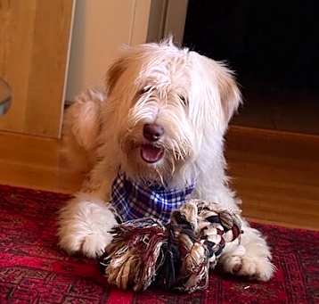 Photo of Duncan