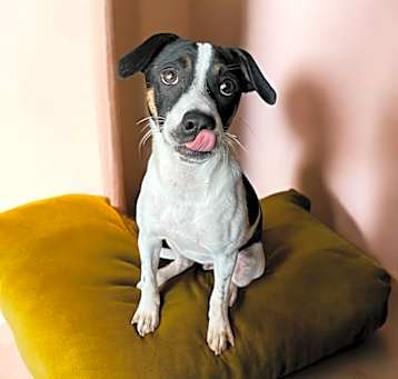 Photo of Mia