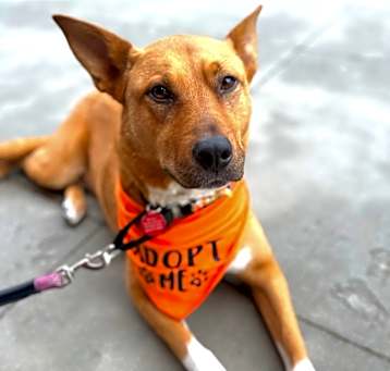 Photo of Harley