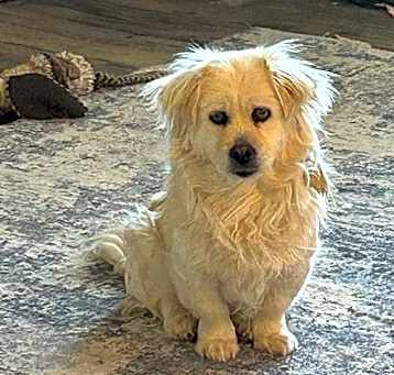 Photo of Sonnie