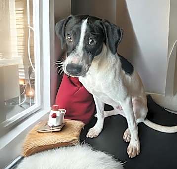 Photo of Paco