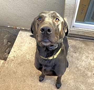 Photo of Gunner