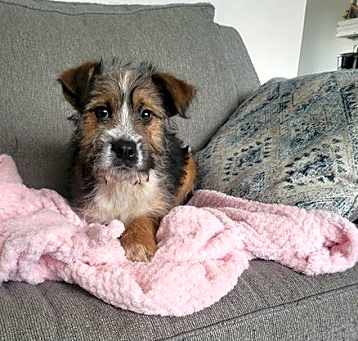 Photo of Floyd