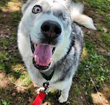 Photo of Diamond