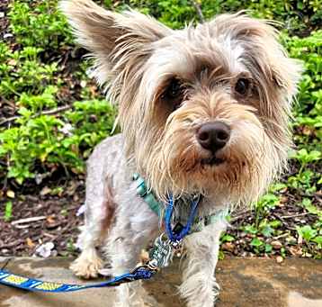 Photo of Wizard