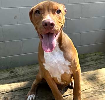 Photo of Winston